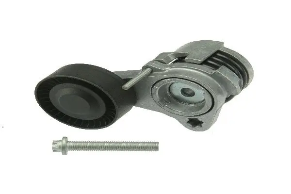 Belt Tensioner, V-ribbed belt (11287530314)