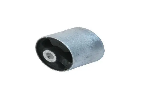 Mounting, control/trailing arm (RGX500201)