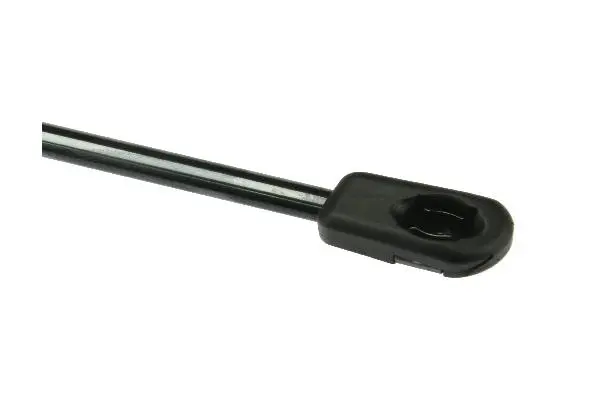 Gas Spring, bonnet