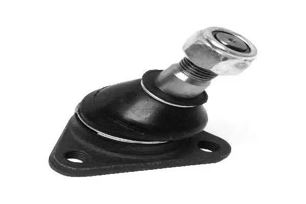 Ball Joint (251407361)