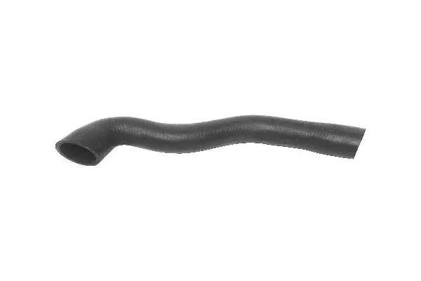 Radiator Hose (11531740832)