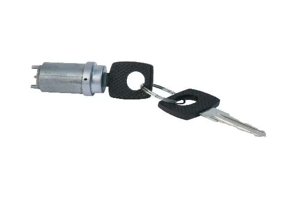 Lock Cylinder, ignition lock (1234620479)