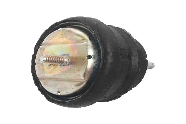 Mounting, engine (11811139019)