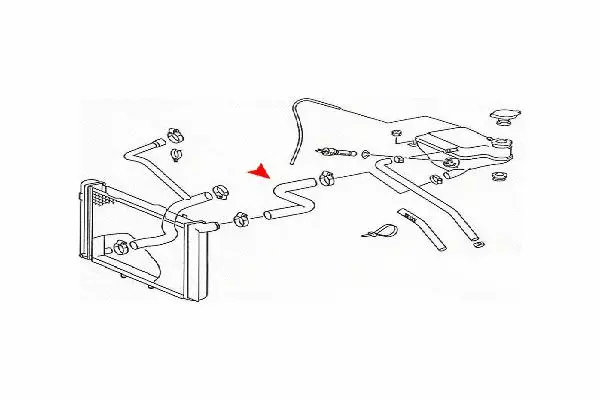 Radiator Hose