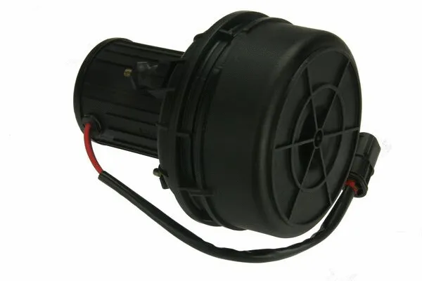 Secondary Air Pump