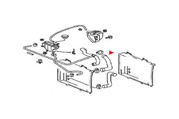 Radiator Hose