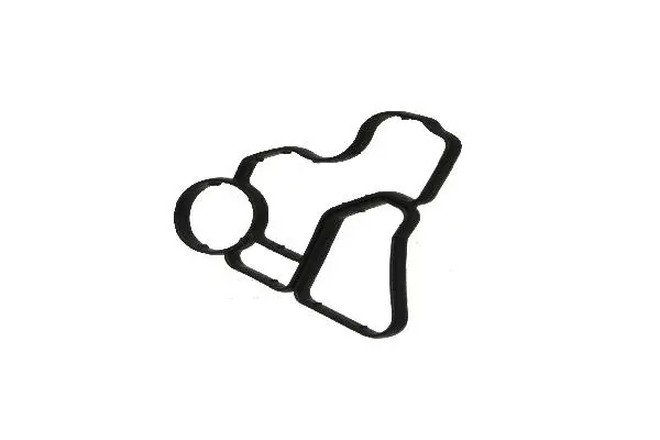 Gasket, oil filter housing