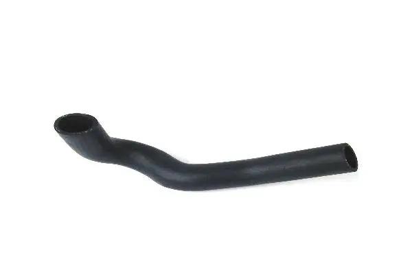 Radiator Hose (1245013382)