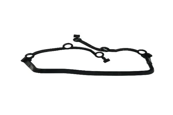 Gasket, timing case (11141741533)