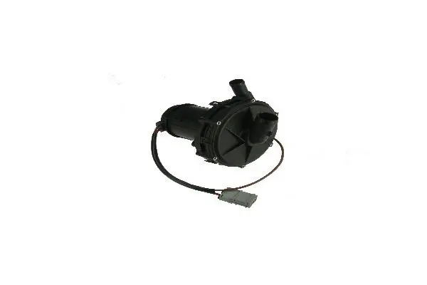 Secondary Air Pump