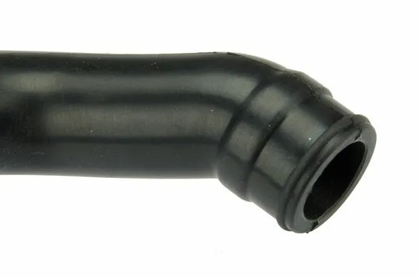 Hose, crankcase ventilation