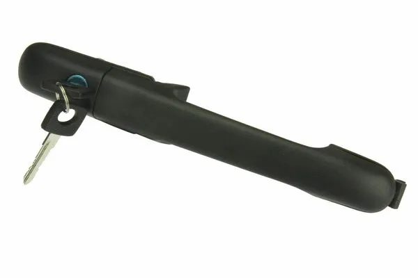 Exterior Door Handle (DG0816338)