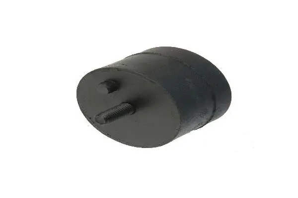 Mounting, engine (11811132323)