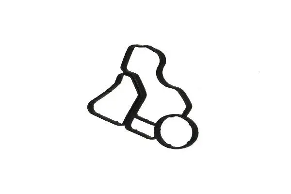 Gasket, oil filter housing