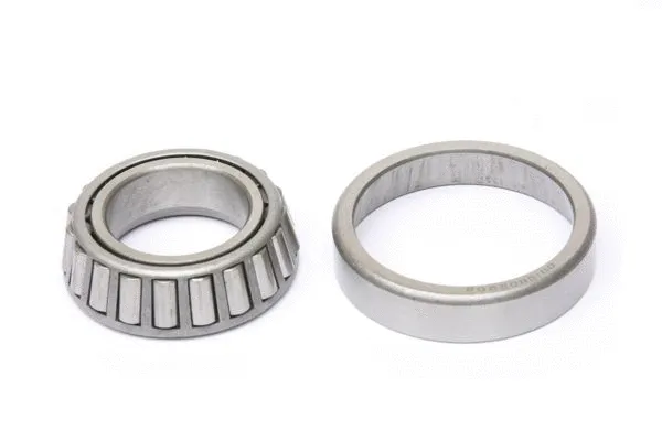 Wheel Bearing (0019802902)