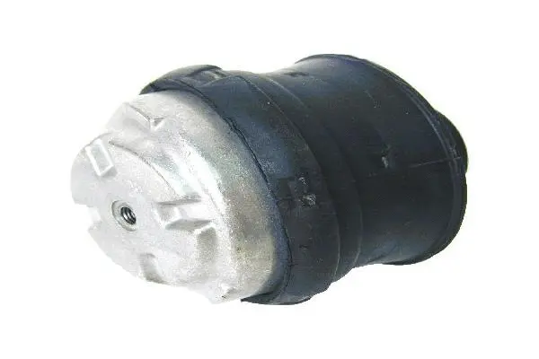 Mounting, engine (2022401617)