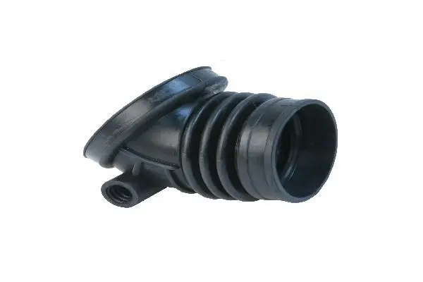 Intake Hose, air filter (13541703694)