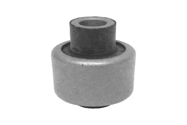 Mounting, control/trailing arm (6819537)