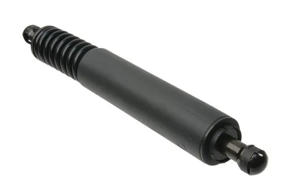 Gas Spring, boot/cargo area (95551255006)