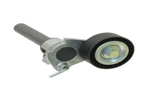 Tensioner Lever, V-ribbed belt (06J903133A)