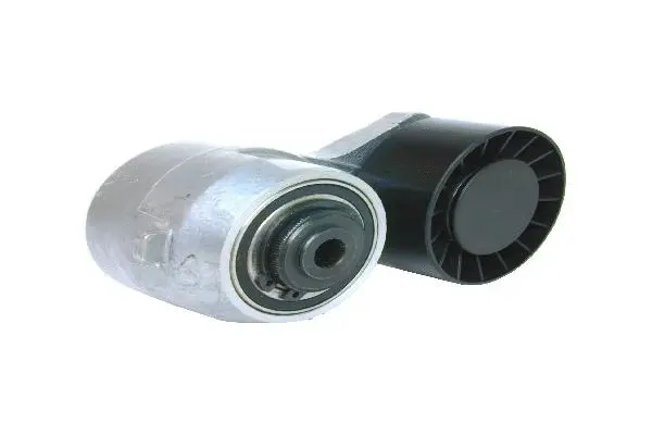 Belt Tensioner, V-ribbed belt (1192000270)