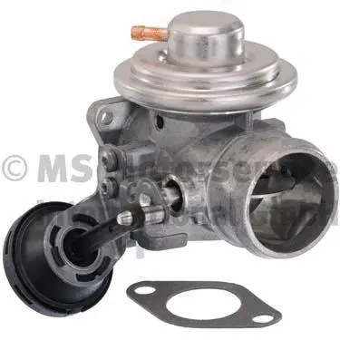 EGR Valve (7.24809.17.0)