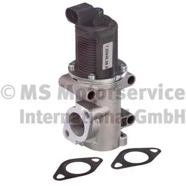 EGR Valve (7.22946.38.0)