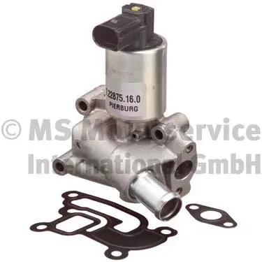 EGR Valve (7.22875.16.0)