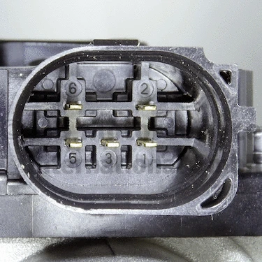 EGR Valve