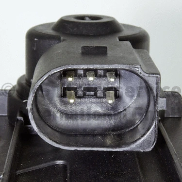 EGR Valve