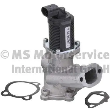 EGR Valve (7.00020.25.0)