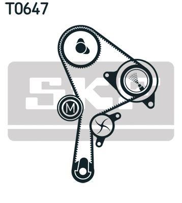 Timing Belt Kit (VKMA 06129)