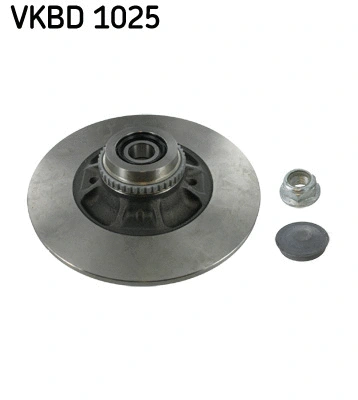 Brake Disc (VKBD 1025)