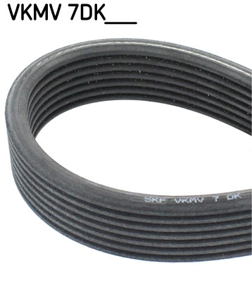 V-Ribbed Belt (VKMV 7DK1697)