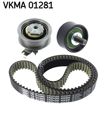 Timing Belt Kit (VKMA 01281)