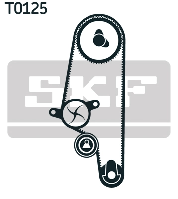 Timing Belt Kit (VKMA 01107)