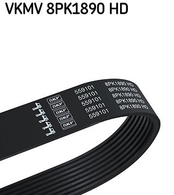 V-Ribbed Belt (VKMV 8PK1890 HD)