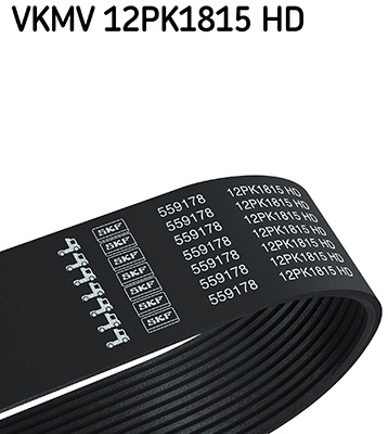 V-Ribbed Belt (VKMV 12PK1815 HD)