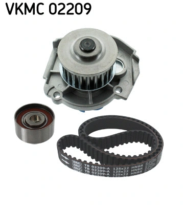 Water Pump & Timing Belt Kit (VKMC 02209)