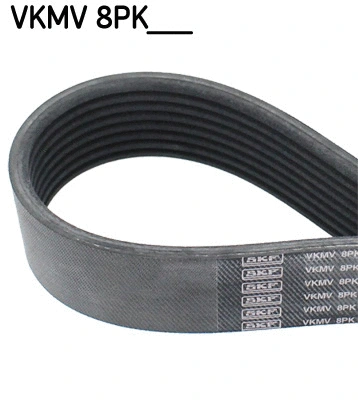 V-Ribbed Belt (VKMV 8PK1310)
