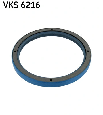 Shaft Seal, wheel bearing (VKS 6216)