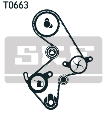 Timing Belt Kit (VKMA 91003)