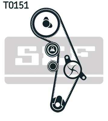 Timing Belt Kit (VKMA 01918)