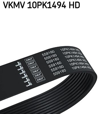 V-Ribbed Belt (VKMV 10PK1494 HD)