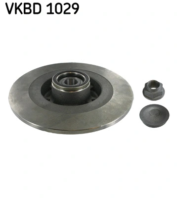 Brake Disc (VKBD 1029)