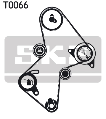 Timing Belt Kit (VKMA 06111)