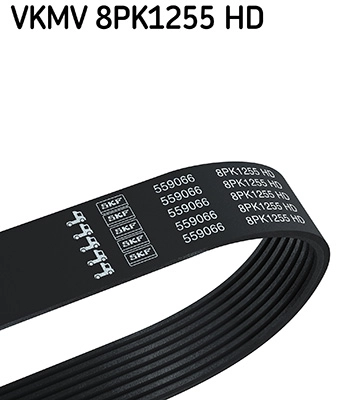V-Ribbed Belt (VKMV 8PK1255 HD)