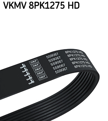 V-Ribbed Belt (VKMV 8PK1275 HD)