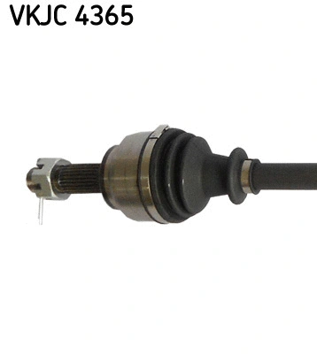 Drive Shaft