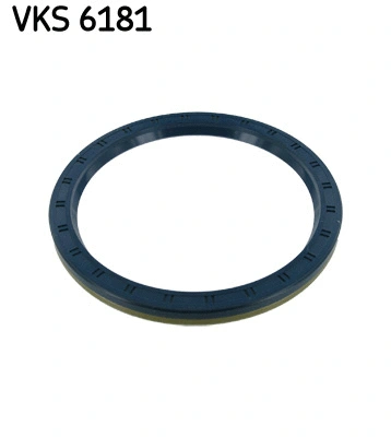 Shaft Seal, wheel bearing (VKS 6181)